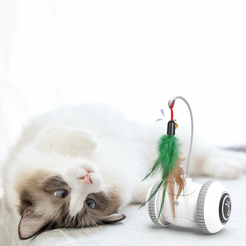 Electric Interactive Cat Toy With Interchangeable feathers