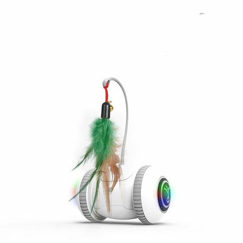 Electric Interactive Cat Toy With Interchangeable feathers