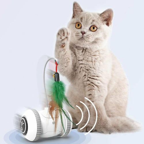 Electric Interactive Cat Toy With Interchangeable feathers